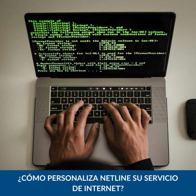 Internet netline
