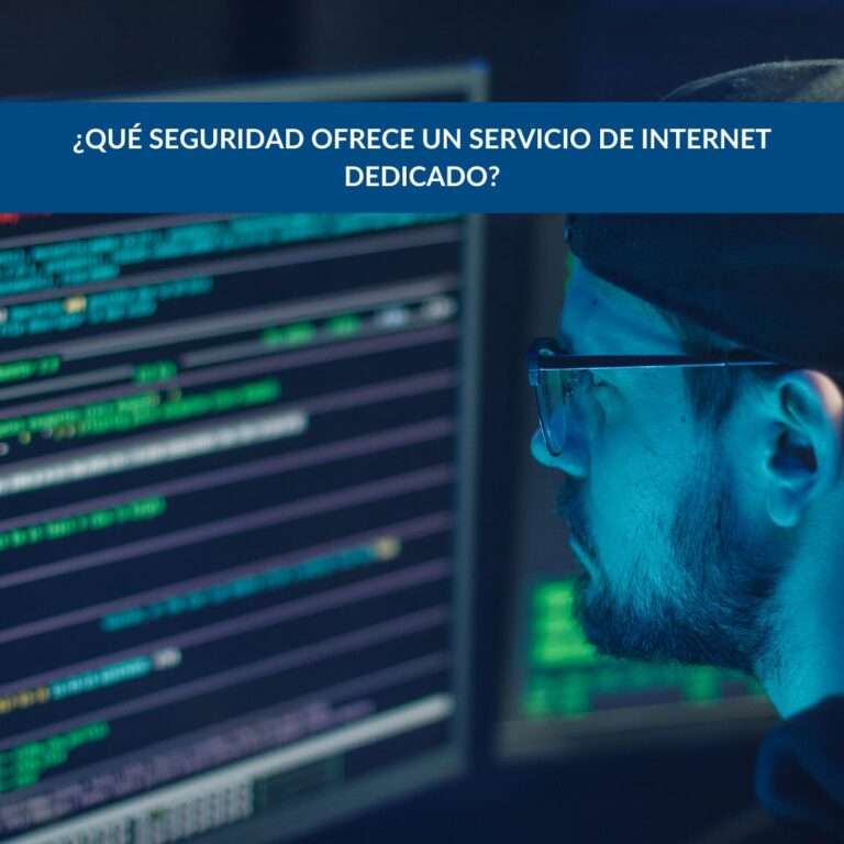 Seguridad internet dedicado